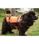 dog-life-jacket-climbing-harness-shark