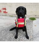 first-aid-kit-for-working-dog-guides